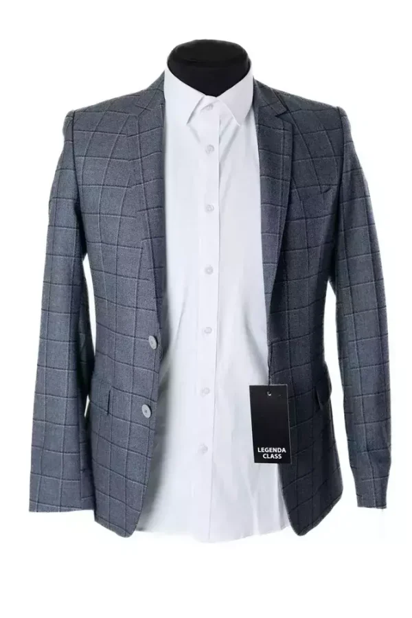 Піджак чоловічий сірий в клітинку