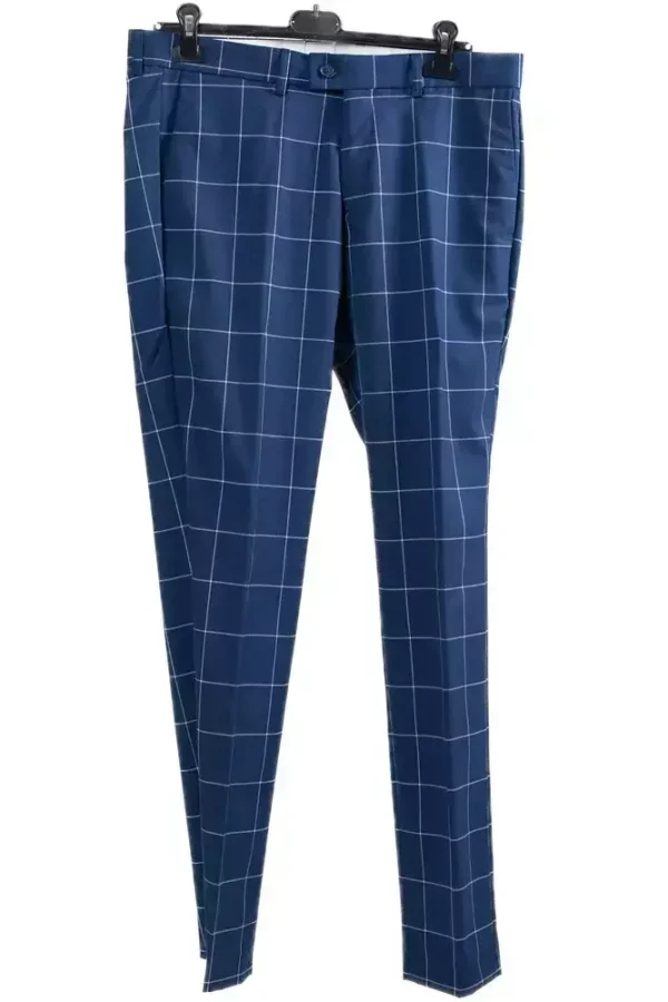 Штани чоловічі сині в клітинку
