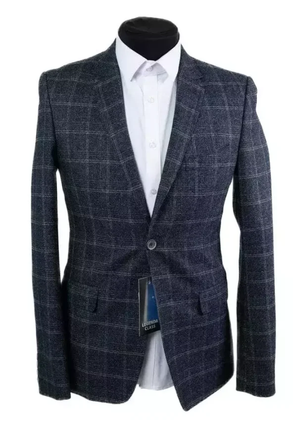 Піджак чоловічий сірий в клітинку