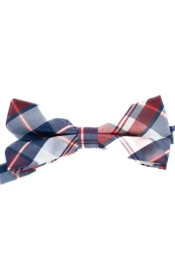 Метелик синій в клітинку