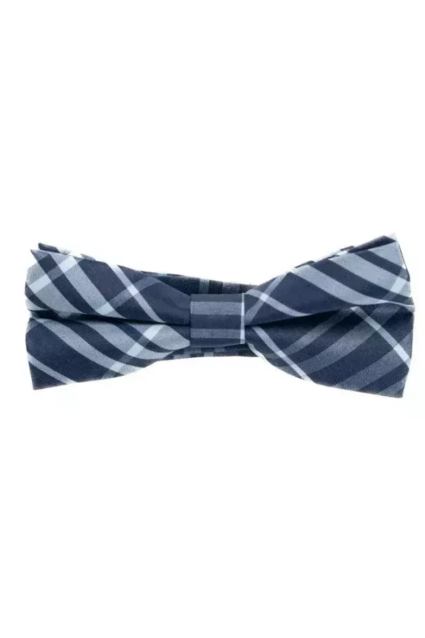 Метелик синій в клітинку