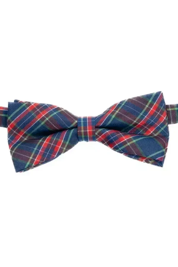 Метелик синій в клітинку