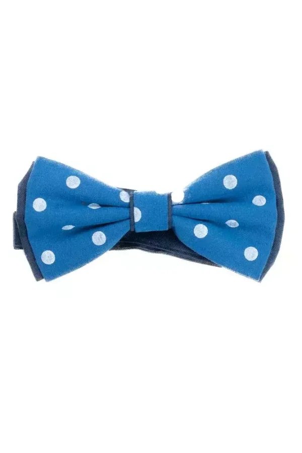 Метелик синій в крапку