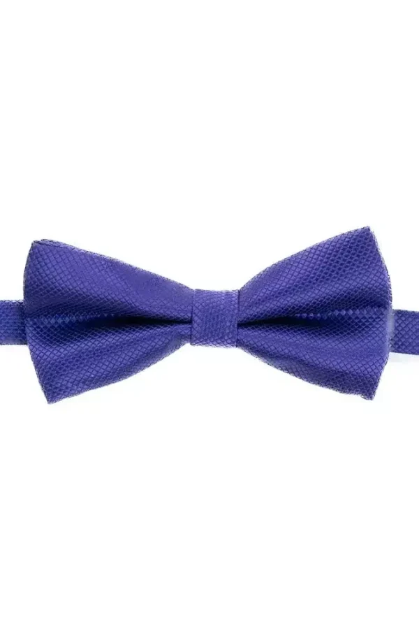 Метелик фіолетовий