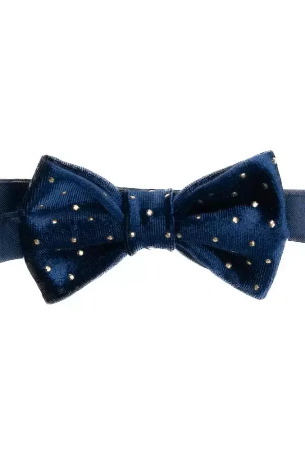 Метелик синій в крапку