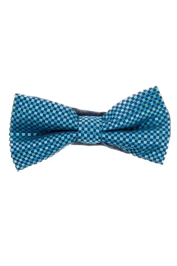 Метелик синій в клітинку